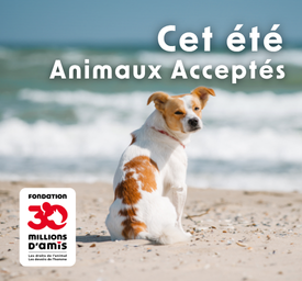 Animaux acceptés