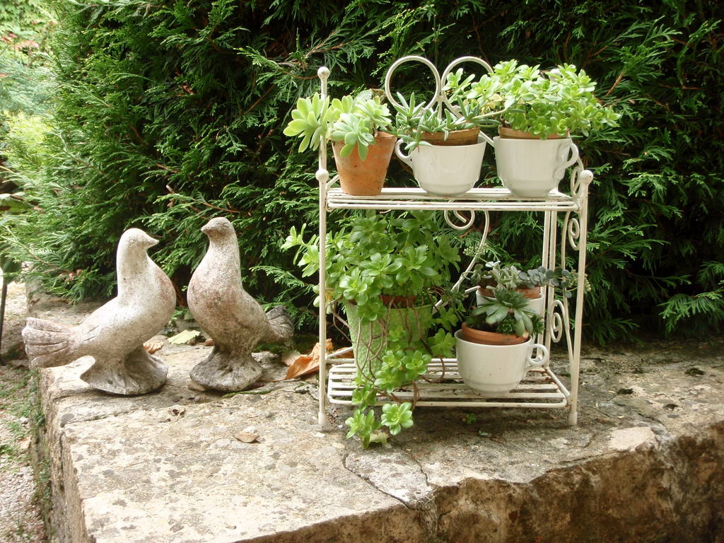 Au jardin