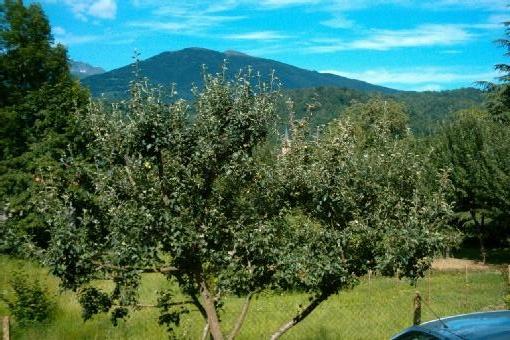 Environnement immédiat de la maison