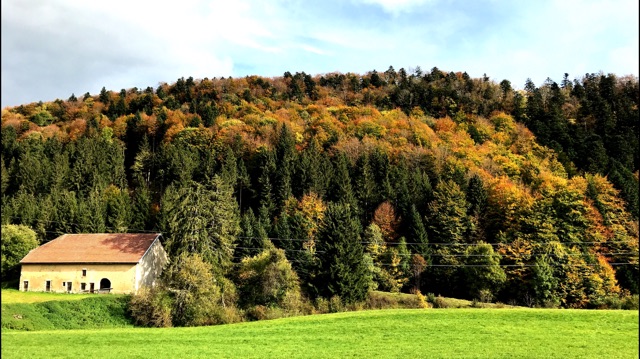 Automne