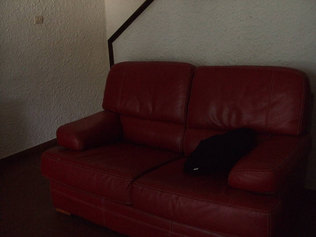 Le salon