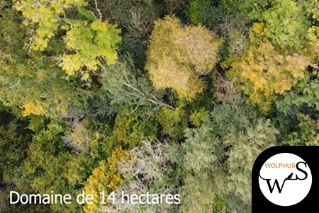 La Foret