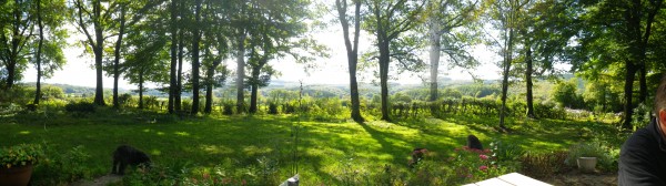 VUE DE LA TERRASSE