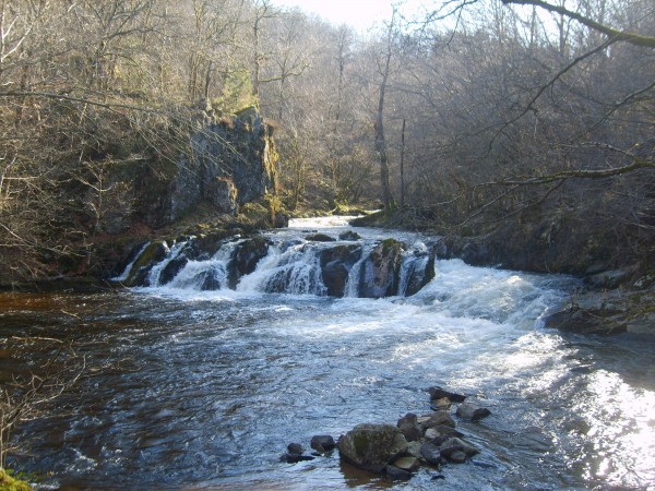 LE SAUT DE GOULOUX