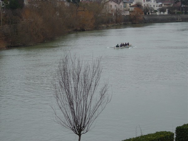 aviron par tous les temps