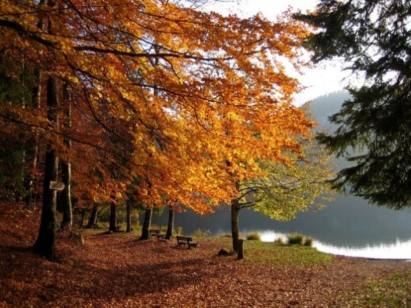 lac de Bonlieu