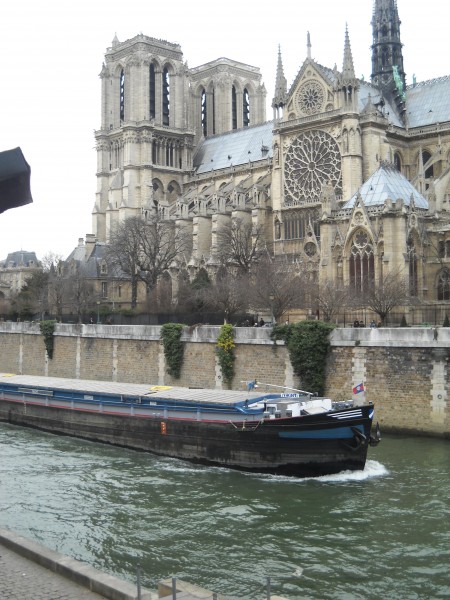 Notre-Dame 50m