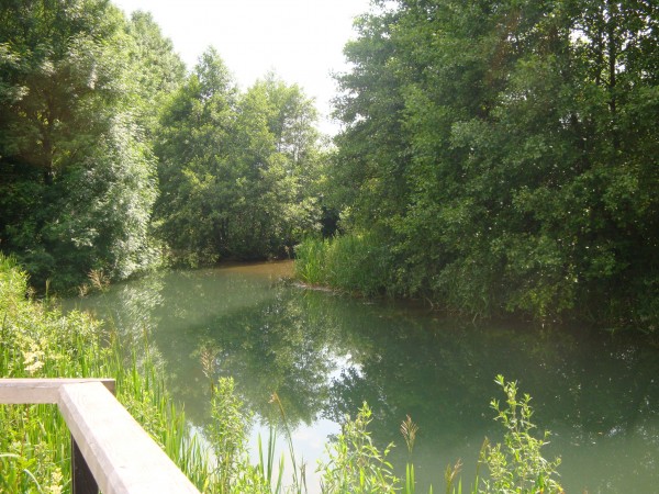 Vue de la terrasse, le ruisseau, la verdure