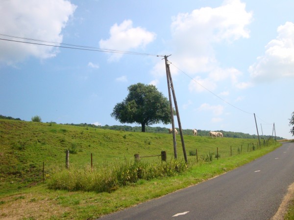 la campagne