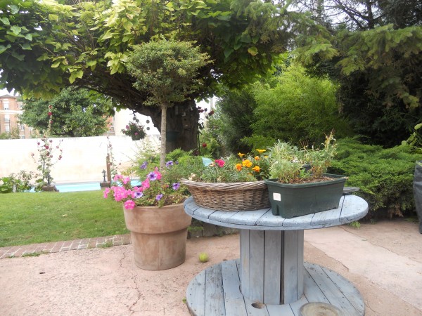 garden