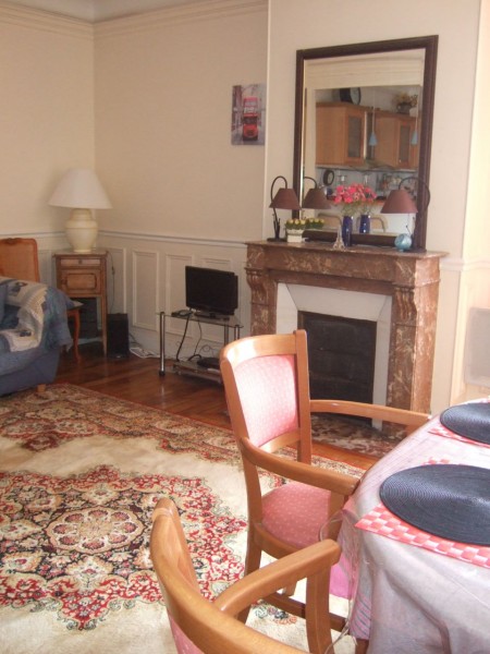 Salon : cheminée