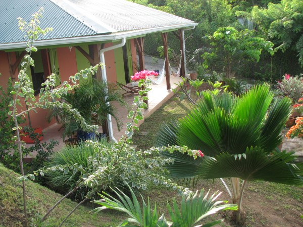 La terrasse et le jardin
