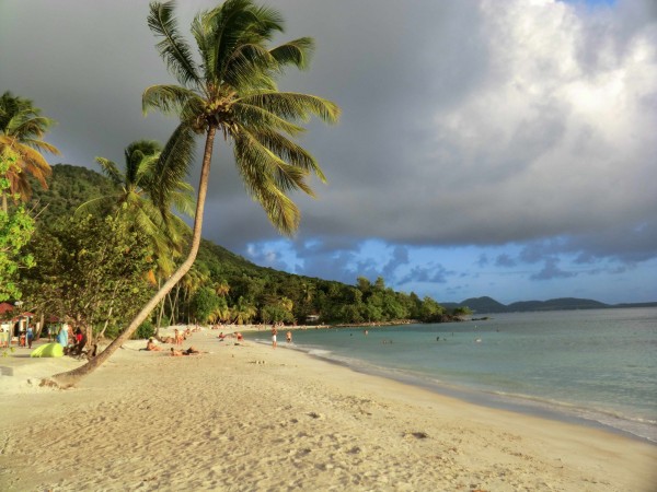 Anse Figuiers la plage à 5min de chez vous