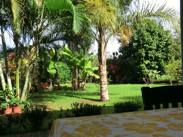 jardin arrière