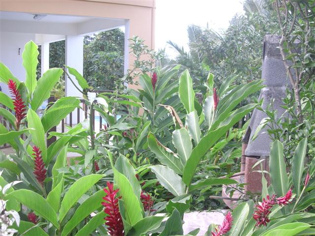 Studio guada.0908