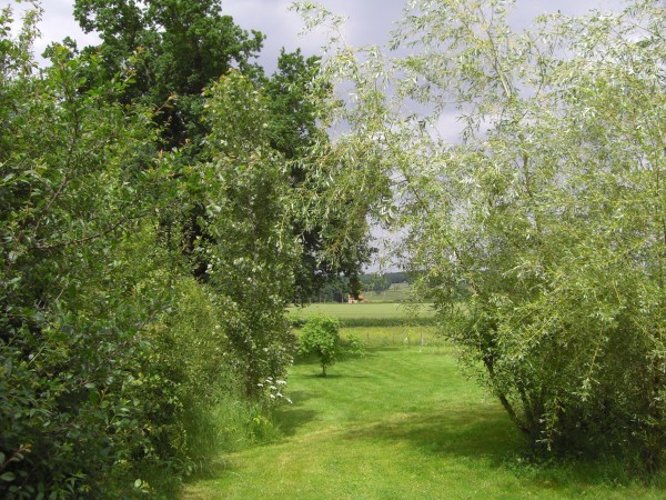 le jardin