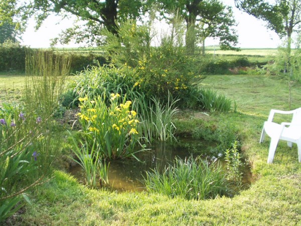 Le jardin