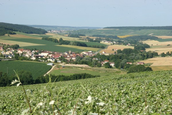 Vue sur la vallée de la Marne