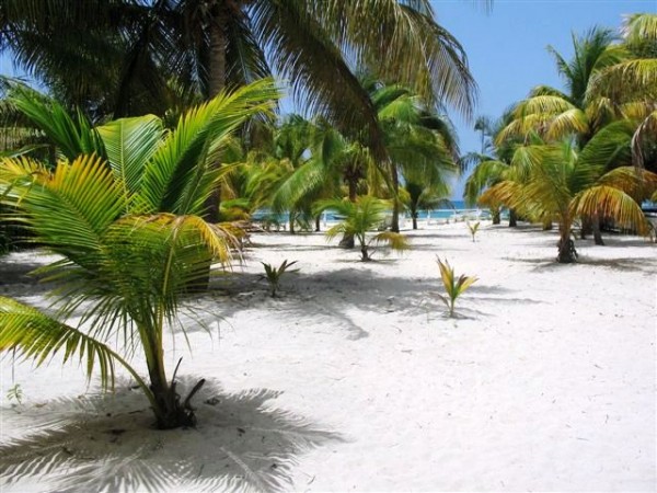 Terrain de 2000 M²