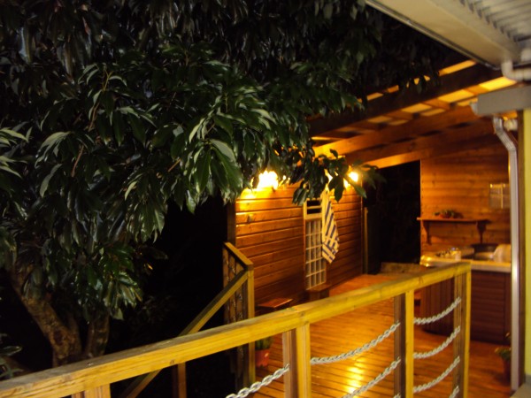 Vue nocturne