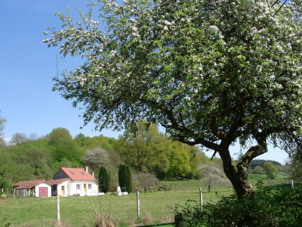 Au printemps