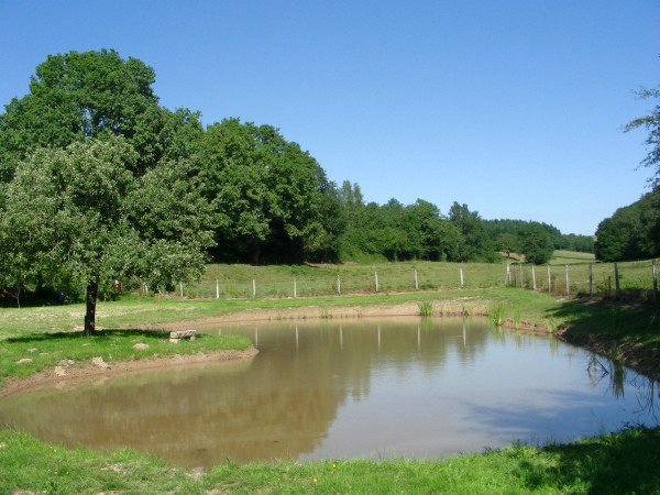 Vue des alentours depuis l'étang