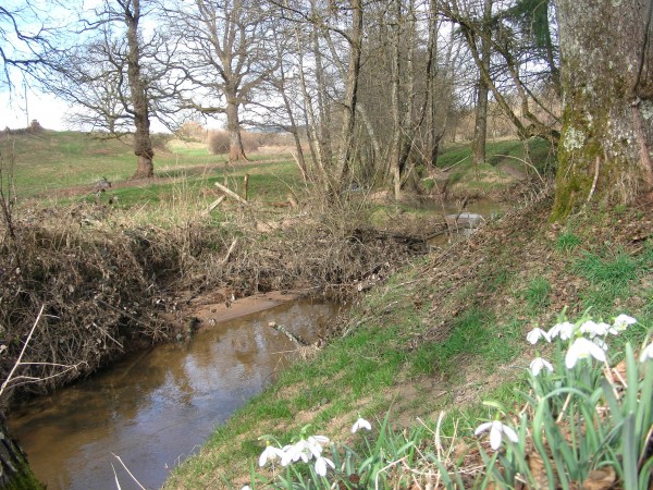 Petite rivière à proximité