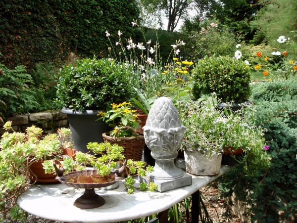 Détail au jardin