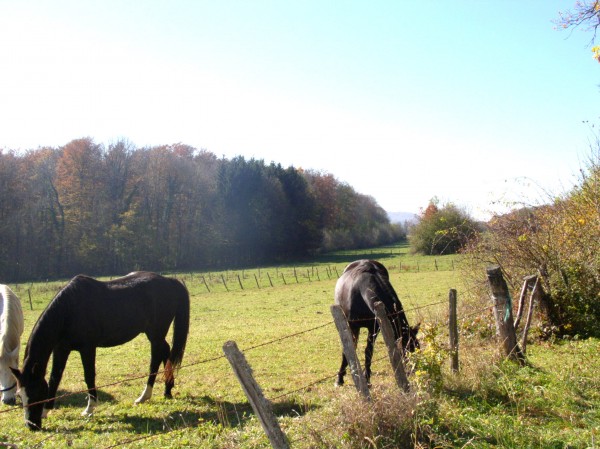 Aux environs