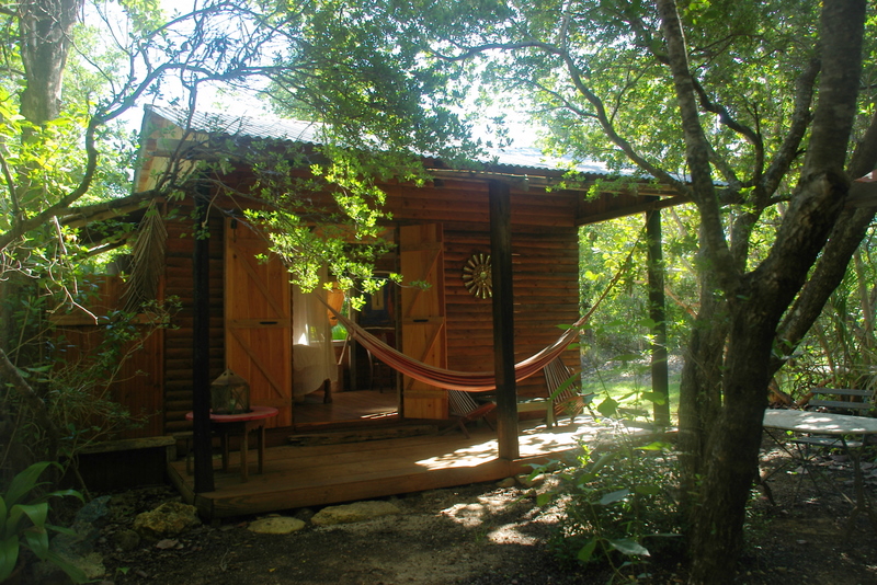 bungalow sous les oliviers