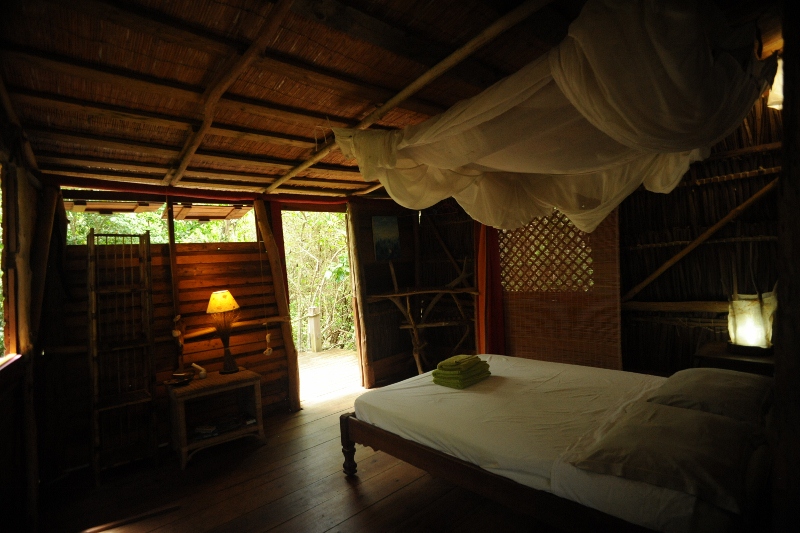 chambre arbres