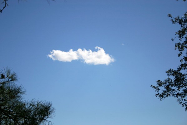 Un nuage égaré