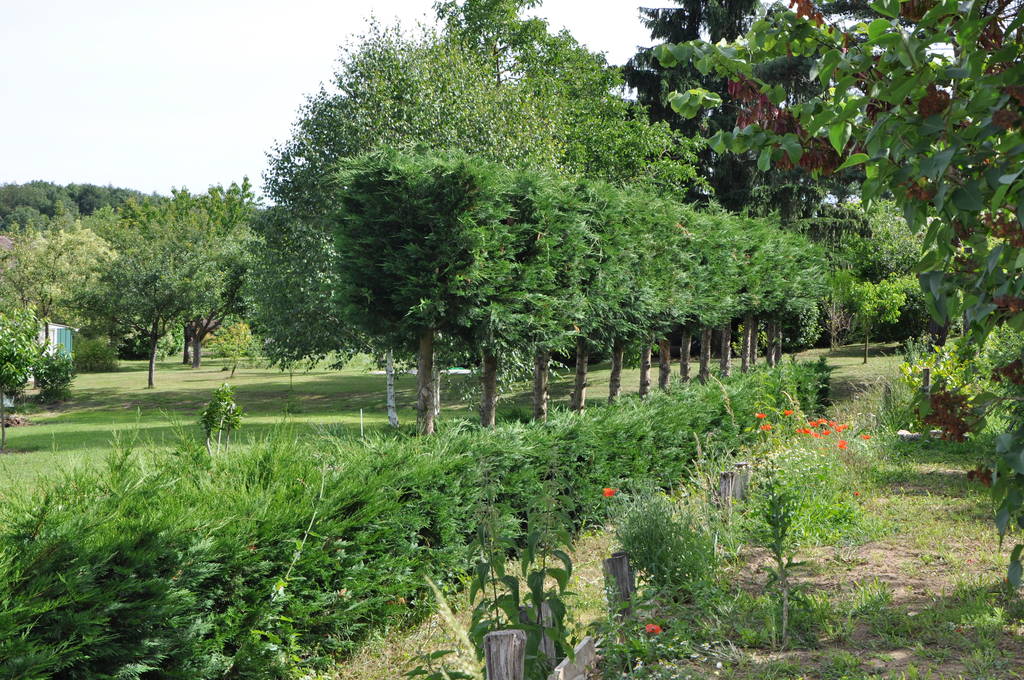 le parc