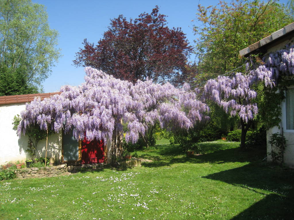 le parc