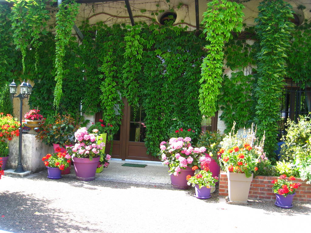 entrée