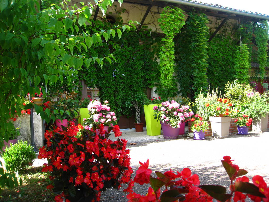 entrée