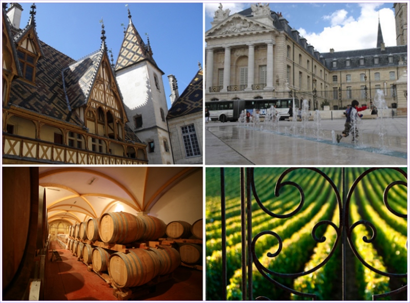 Visites de la Bourgogne