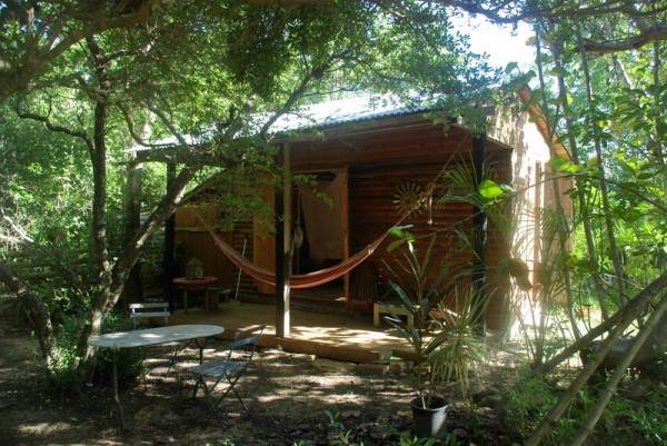 bungalow sous les oliviers