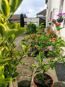 Holiday rental House 5 persons Saint Georges de Mons<br />