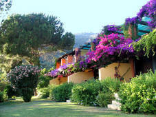 Location résidence helios***, Cargèse.