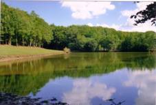 Maison de ferme, étang de pêche privé 10000 m².