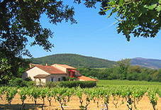 Gîtes calmes au milieu des vignes, Golfe de Saint-Tropez.