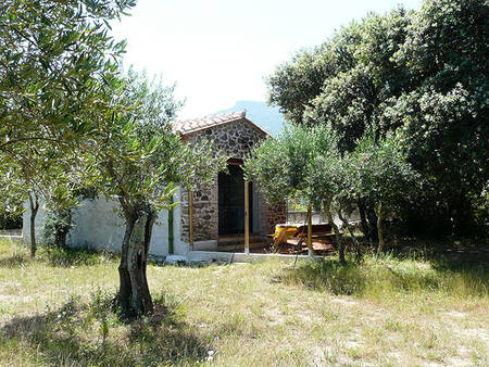 Location maison dans les oliviers entre mer et montagne.