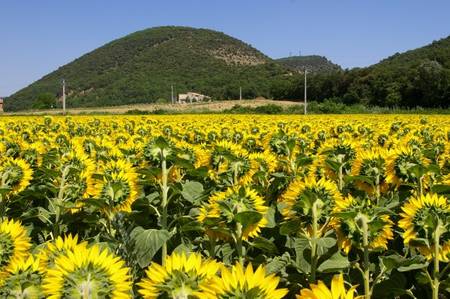 Location villa La Chaurrotonne à 30 mn des Gorges du Verdon.