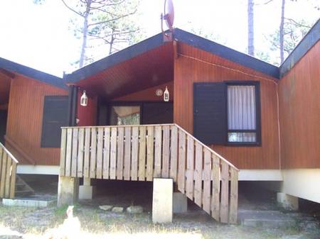 Location chalet dans les pins entre océan et lac à Carcans-Maubuisson.