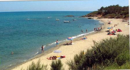 2 appartements (2/5personnes et 4/10personnes) bord de plage.