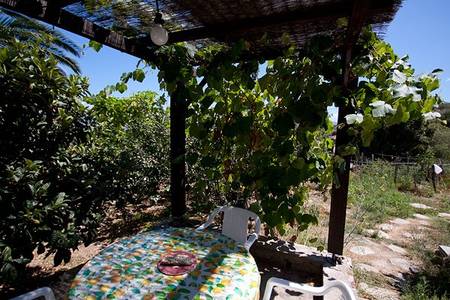 Locations à Casta près de Saleccia