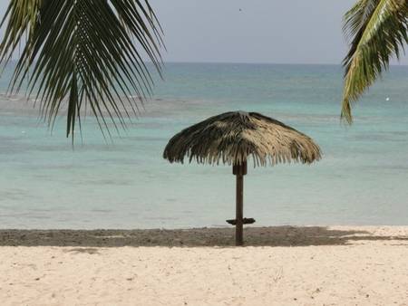 Mandarine731-Votre studio à 20 m.de la plage.