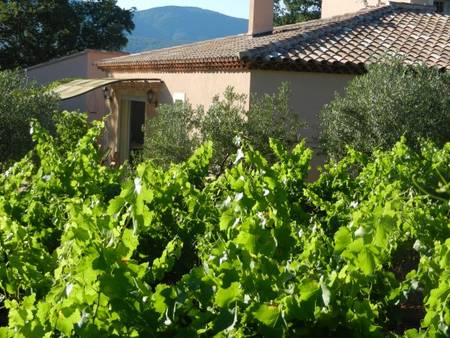 Maison à louer entre vignes et collines à vingt minutes des plages.