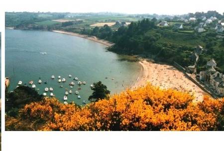 Sur les Falaises de Plouha, proche du chemin de côtes (GR34).